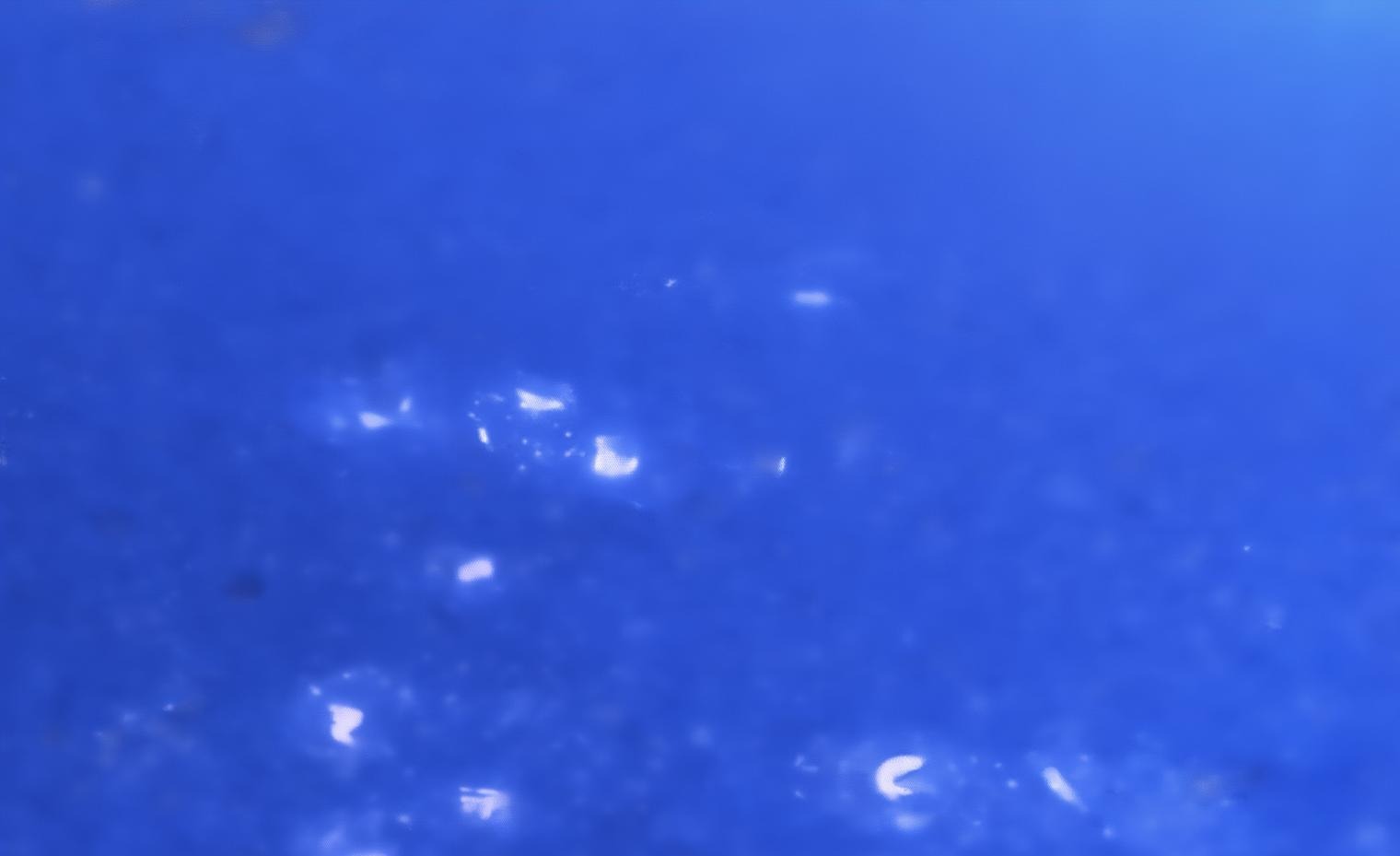Signal PIN码设置界面